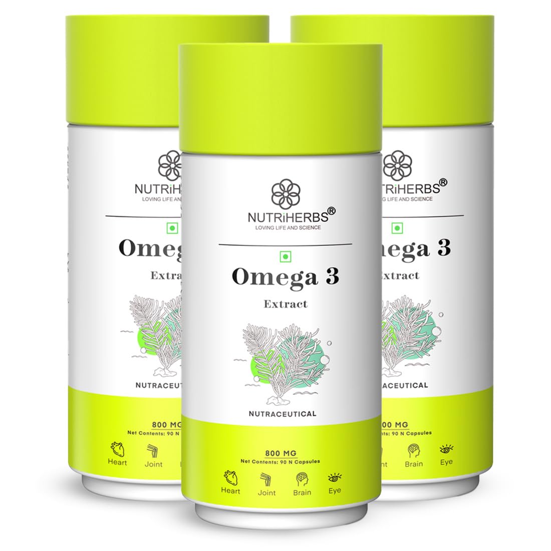 NUTRIHERBS Vegetarian Omega-3 Fatty Acids 800mg Capsule– Plant-Based DHA & EPA Supplement | Supports Heart, Brain, Joint, Eye & Skin Health | No Fish Oil | for Men & Women | 90 Capsules Pack of 3