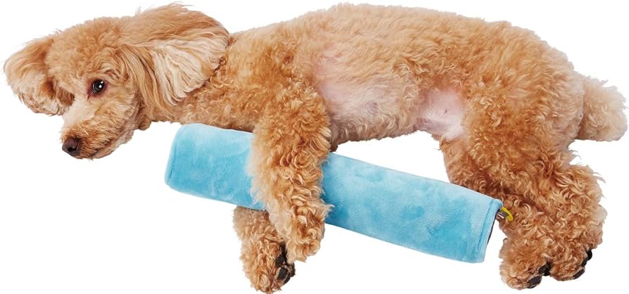 ペティオ ビーズベッド ビーズクッション 中サイズ Amazon | ペティオ (Petio) zuttone 姿勢を保持するやさしい