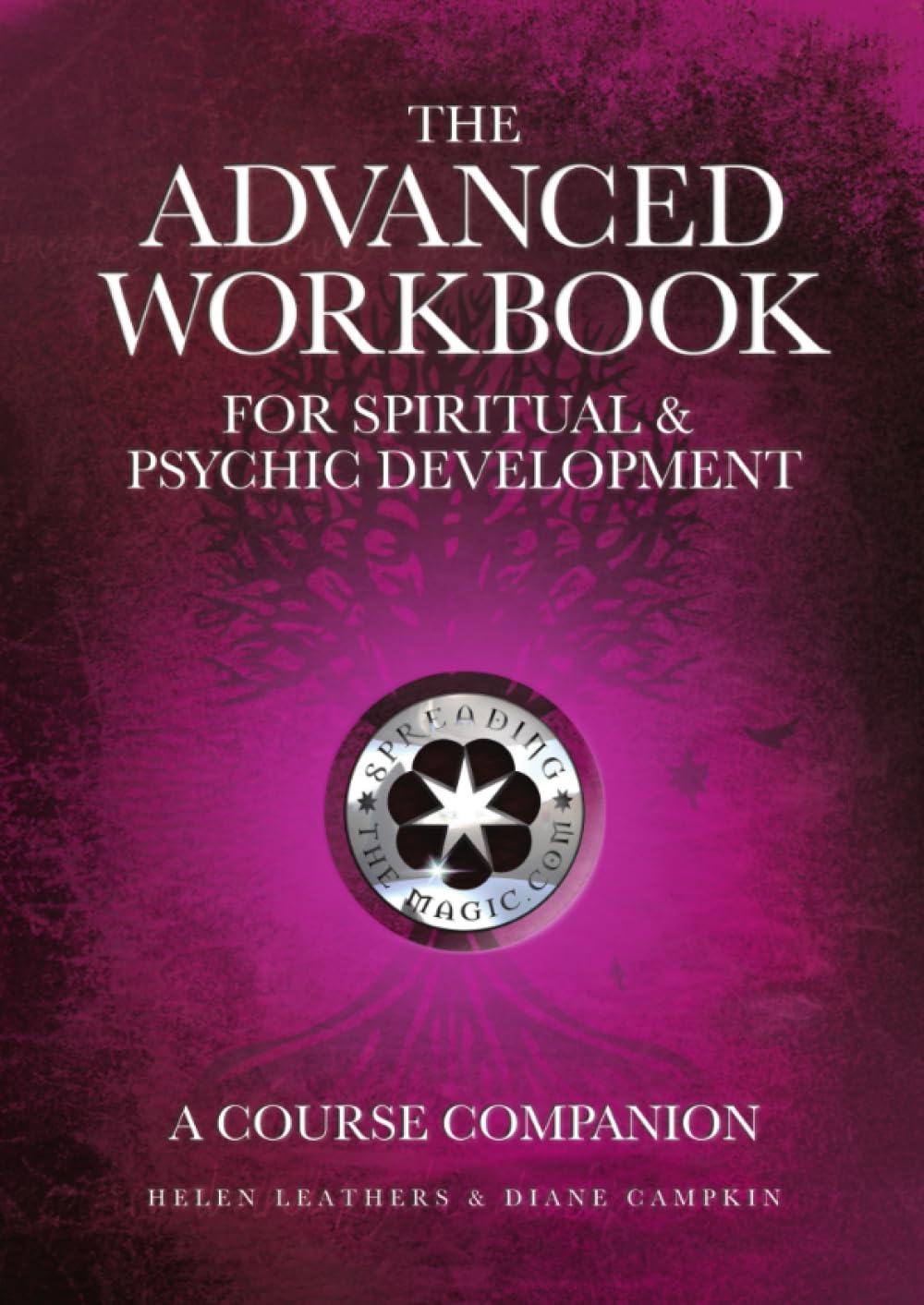 The Advanced Workbook For Spiritual & Psychic Developent - A Course Companion
