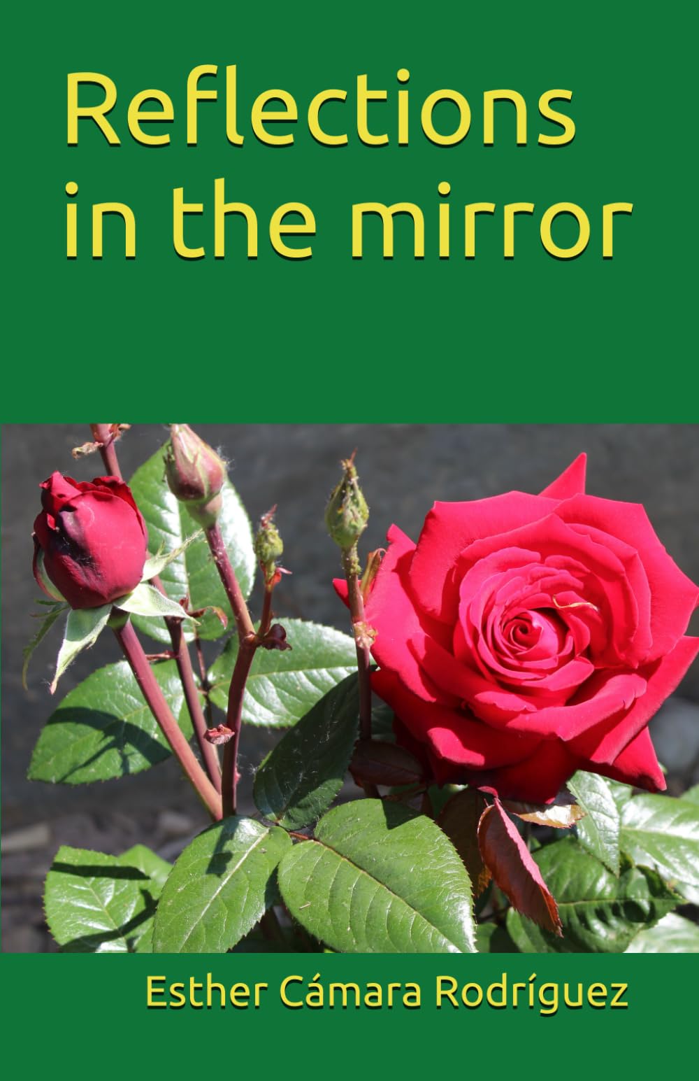Reflections in the mirror