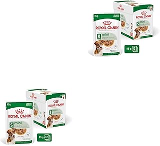 Royal Canin Mini Adult | Doppelpack | 2 x 12 x 85 g | Nassfutter für ausgewachsene kleine Hunde | Kann zur optimalen Versorgung Kleiner Hunderassen eingesetzt Werden | Im Frischebeutel product image