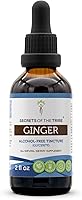 Vista 1 de Secrets of the Tribe Tintura de jengibre Extracto sin alcohol, jengibre (Zingiber officinale) raíz seca 2 oz