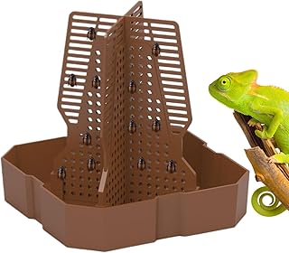 Eptilien Food Bowl | Petite Coquille d'alimentation Animale avec Conducteur d'escalade | Coquille d'alimentation Non Glissée avec Conducteur d'escalade pour Caméléon, Bartagame