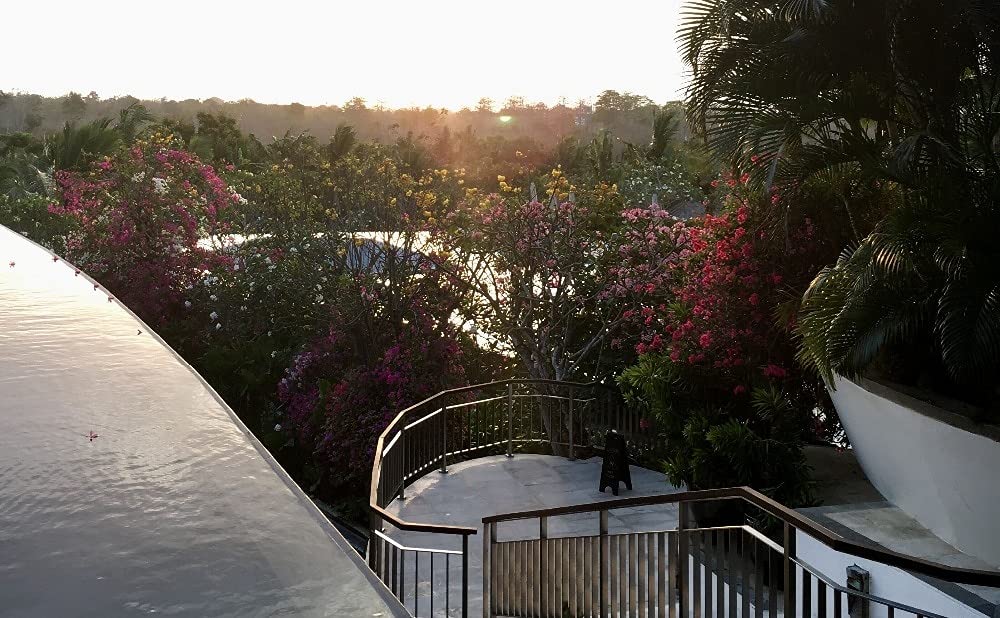 Davitu DC Motor - A special link:20PCS 34:1 gearbox,epacket for Netherlands