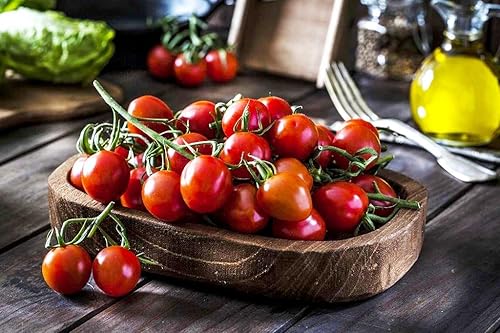 Miniatura 7 de Semillas Maskotka de tomate y cereza para plantar en interiores y exteriores, ideales para colgar cestas y macetas de aproximadamente 50 semillas