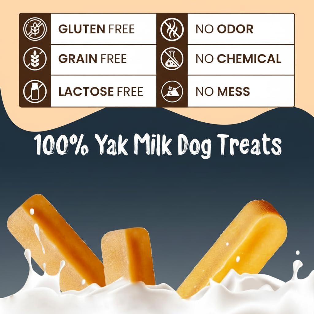 Himalayan Yak Cheese Dog Chews | Pack of 12 | Natural, Long-Lasting Treats for Aggressive Chewers, Odorless Yak Milk Chews for Dogs – Healthy, Protein-Rich (Small)