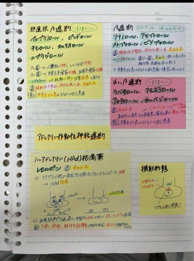 Amazon.co.jp: 薬剤師国家試験 薬理 ゴロ集 薬剤も少し : おもちゃ