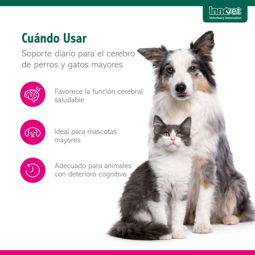 Innovet Senilife Plus 60 Cápsulas Monodosis – Apoyo al Bienestar Cerebral en Perros y Gatos Sénior – Vitaminas Perros Mayores Ayuda a Mantener el Equilibrio Cognitivo y la Vitalidad Mental Natural