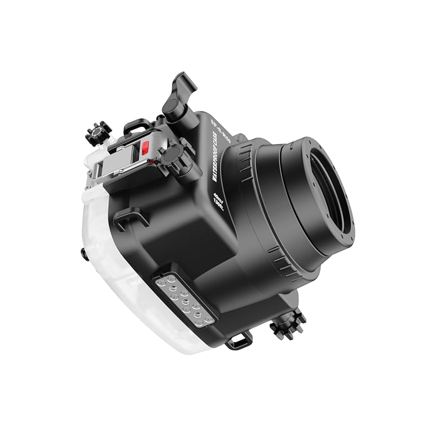 美品/防湿庫保管】Canon EOS RP Canon EOS R50 V / EOS R10