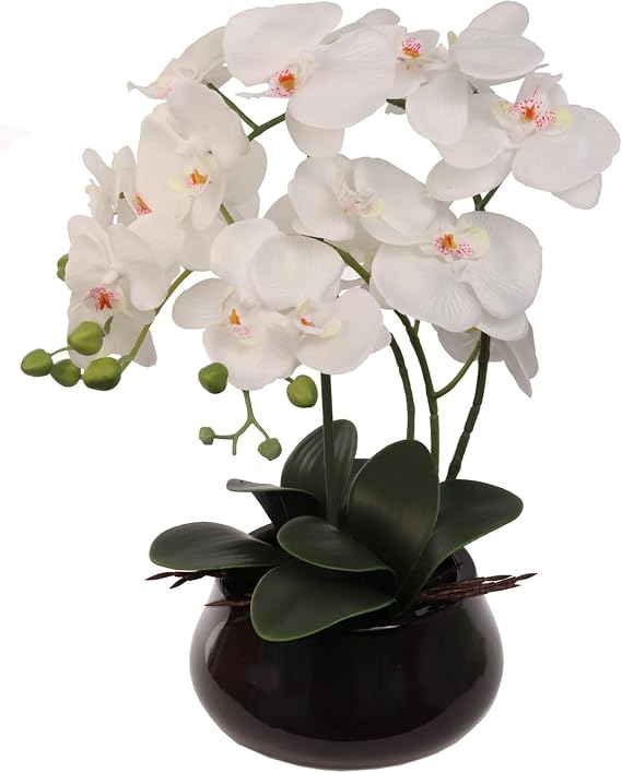 Larksilk White Orchid in Black Pot 2-Pack, Silk Potted Phalaenopsis | Two pre-potted white phalaenopsis in black pots for desks, shelves & paired office or home accents; no watering