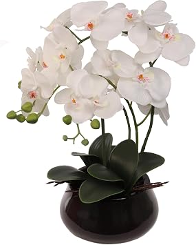 Larksilk White Orchid in Black Pot 2-Pack, Silk Potted Phalaenopsis | Two pre-potted white phalaenopsis in black pots for desks, shelves & paired office or home accents; no watering