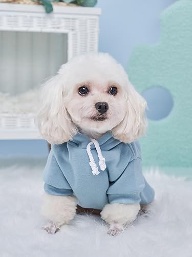Miniatura 7 de QWINEE Sudadera básica con capucha para perro, chaqueta cálida para perro, ropa para gato, camisa para perro, ropa para cachorros, gatitos pequeños
