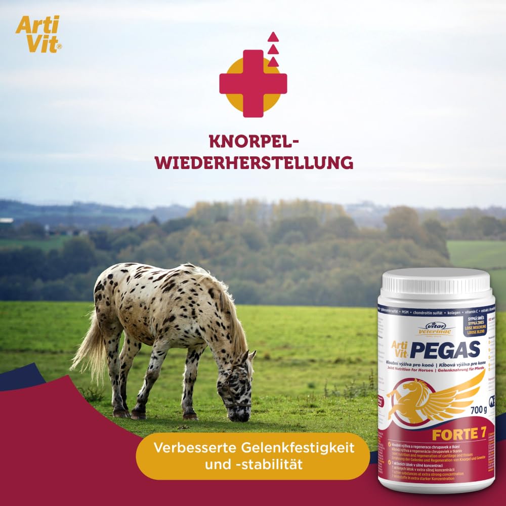 VITAR Veterinae Artivit Pegas Forte – Gelenk Ergänzungsfuttermittel für Pferde & große Hunde, MSM, Glucosamin & Chondroitin, unterstützt Beweglichkeit
