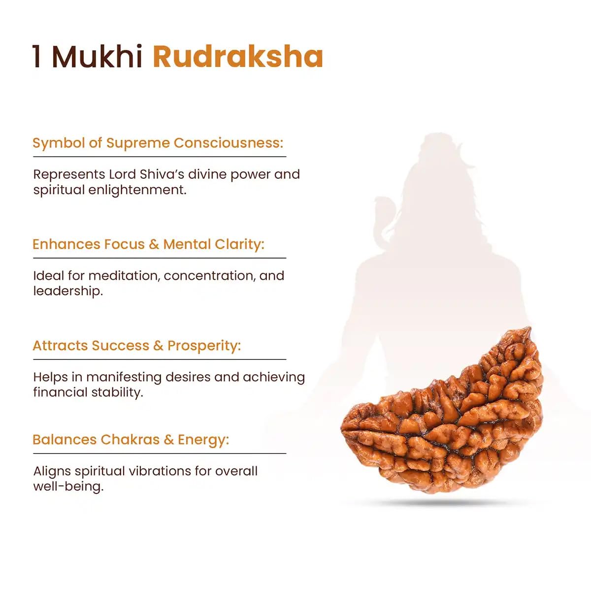 LIFE CHANGING ASTRO Rudraksha – Rare Bead of Pure Consciousness | Original, Lab