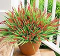 Artificial Fake Flowers Outdoor Plants for Summer Decoration,10 Bundles Faux Plastic Tall Monkey Grass Greenery UV Resistant Realistic Lavender for Home Planter Window Porch Garden-Red