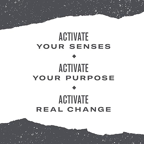 Miniatura 6 de Numi - Té orgánico chai dorado, 18 unidades (paquete de 3)