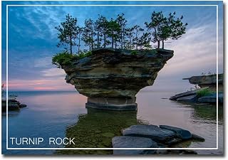 Turnip Rock Small Geological Formation, Michigan Travel Refrigerator Magnet Size 2.5" x 3.5"