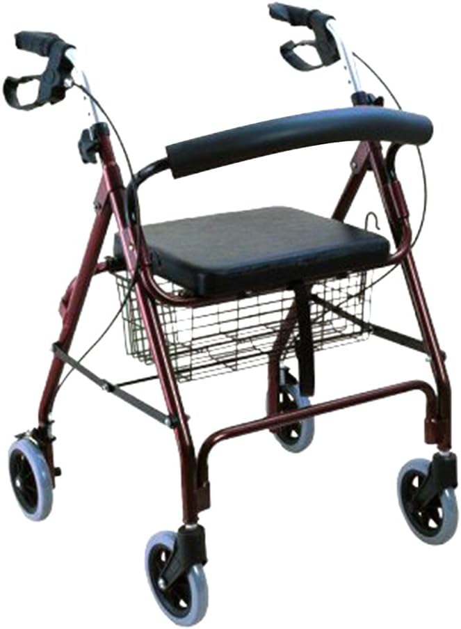 Danny's World Rollator