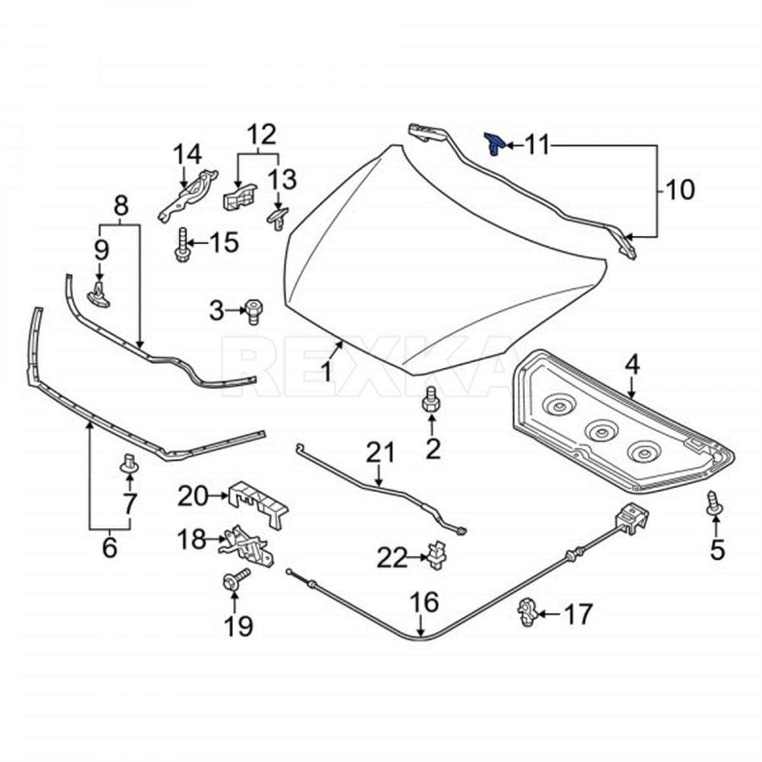 Amazon.com: Rexka 30pcs Rear Weather-Strip Clip Compatible with