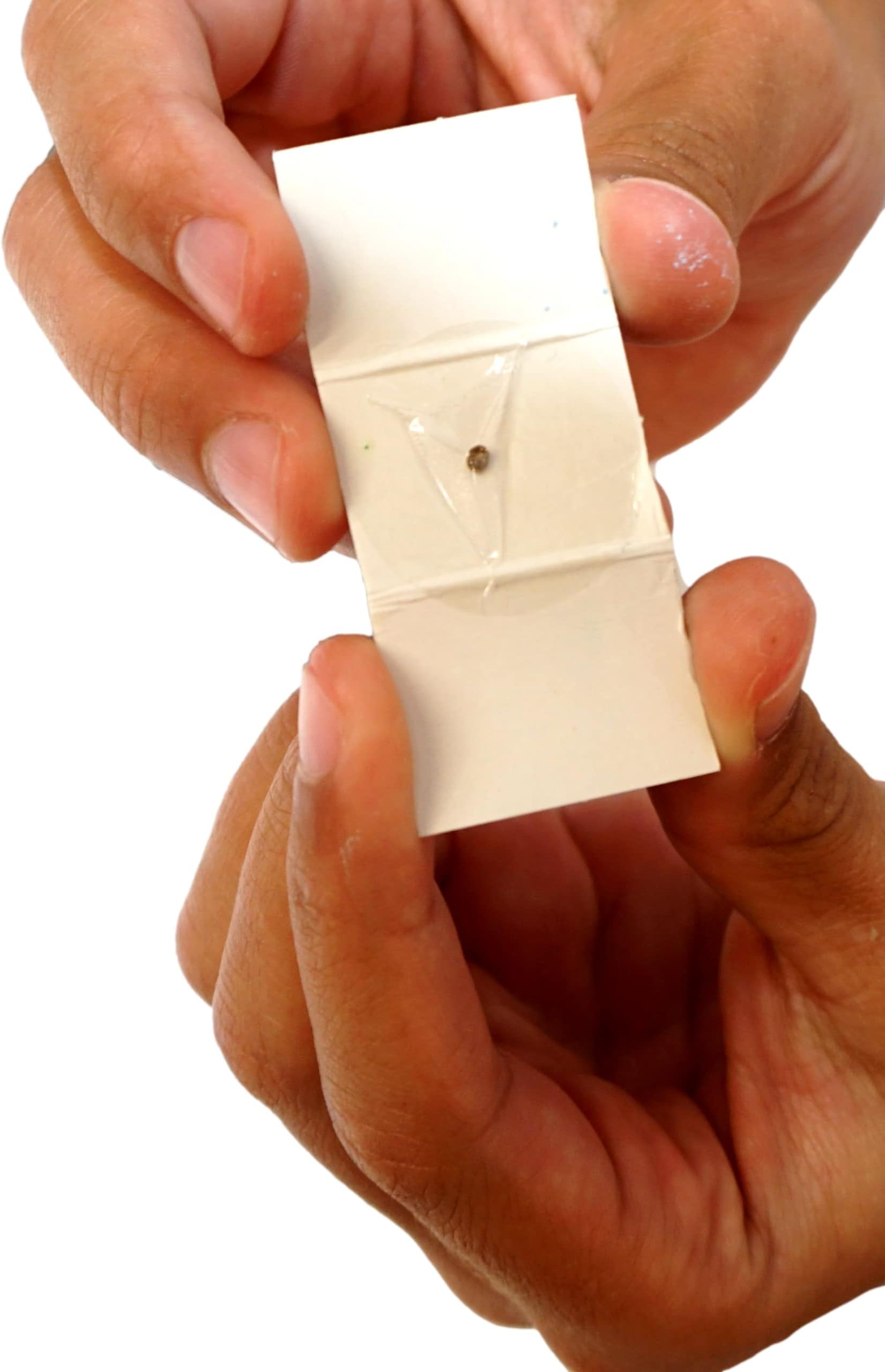 JA-RU Real Diamond Mine Gemstone Dig Kit (12 Packs) Mystery Rock, Minerals, and Gems for Kids | Break Your Own Geodes and a Chance to Get 1 Real Diamond | Party Favors for Kids Goodie Bags. 4630-12