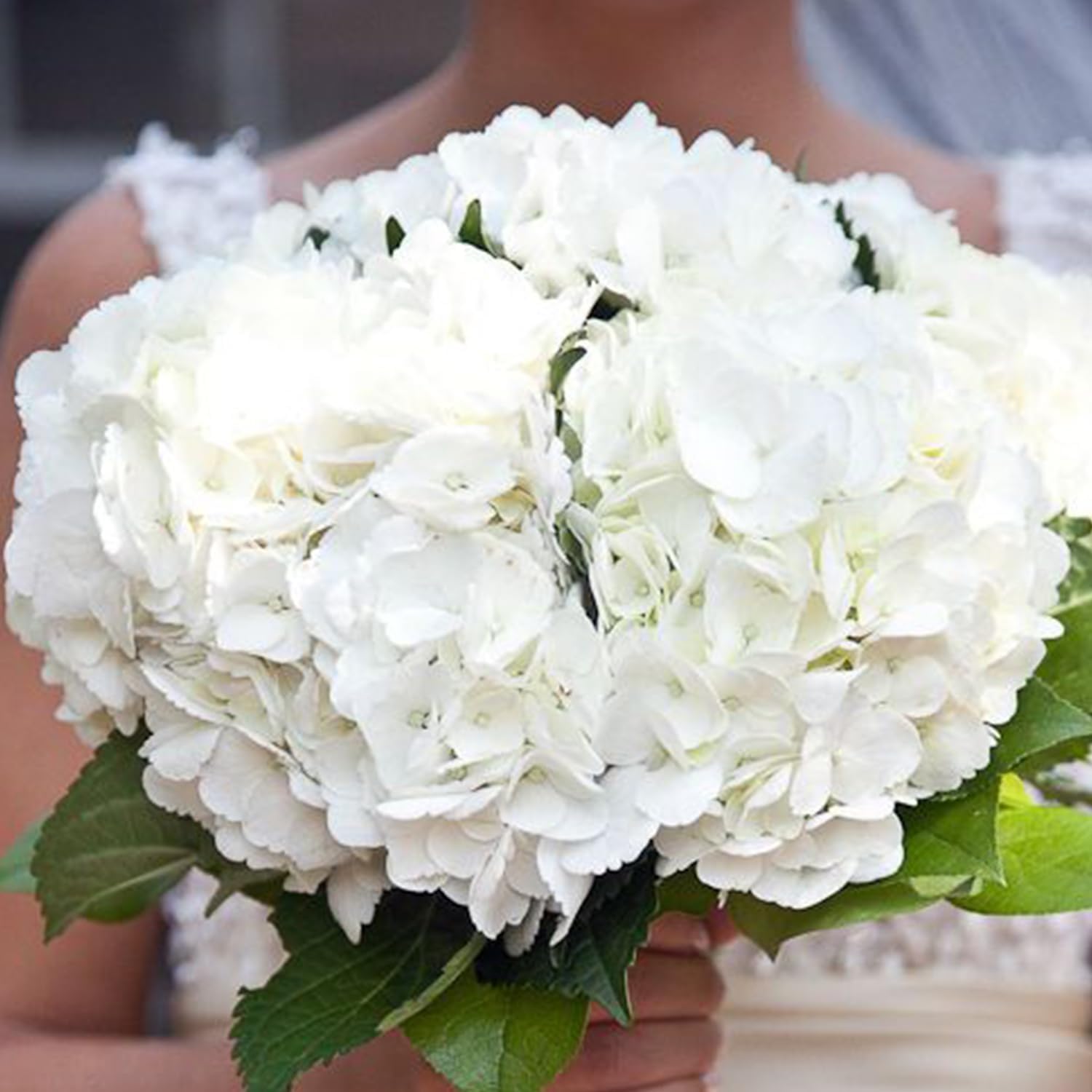 White Hydrangea Artificial Flowers 3pcs Lifelike Faux Hydrangea Real Touch Fake Flowers for Home Wedding Christmas Office Party Living Room Decoration,22inch - Image 5