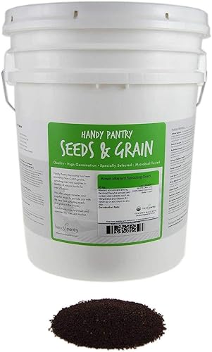 Semillas de germinación de mostaza marrón orgánica: 35 libras - Semilla de mostaza caliente: para especias, brotes, microverdes, hacer mostaza