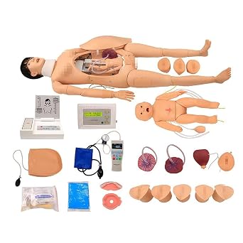 Advanced Childbirth Model - 5.57FT Life-Size Nursing Training Mannequin