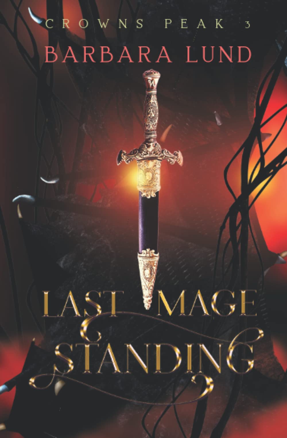 Cover of Last Mage Standing