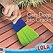 LOLA Whisk Broom, Hand Brush, Durable Bristles, Whisks Away Dirt & Debris, Compact, Hang Hole for Easy Storage, Indoor/Outdoor, 1 Pack
