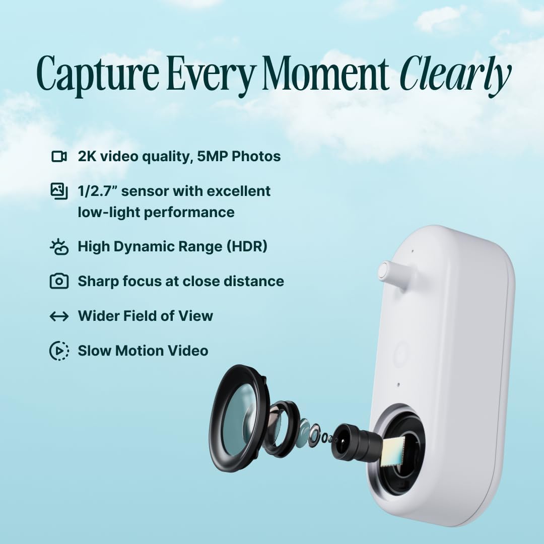 Birdbuddy Smart Non-Solar Pro Hummingbird Feeder with Camera - AI Bird Identification, 2K Video, 5MP Photos, Outdoor Hanging, Gift for Bird Watching - Image 5