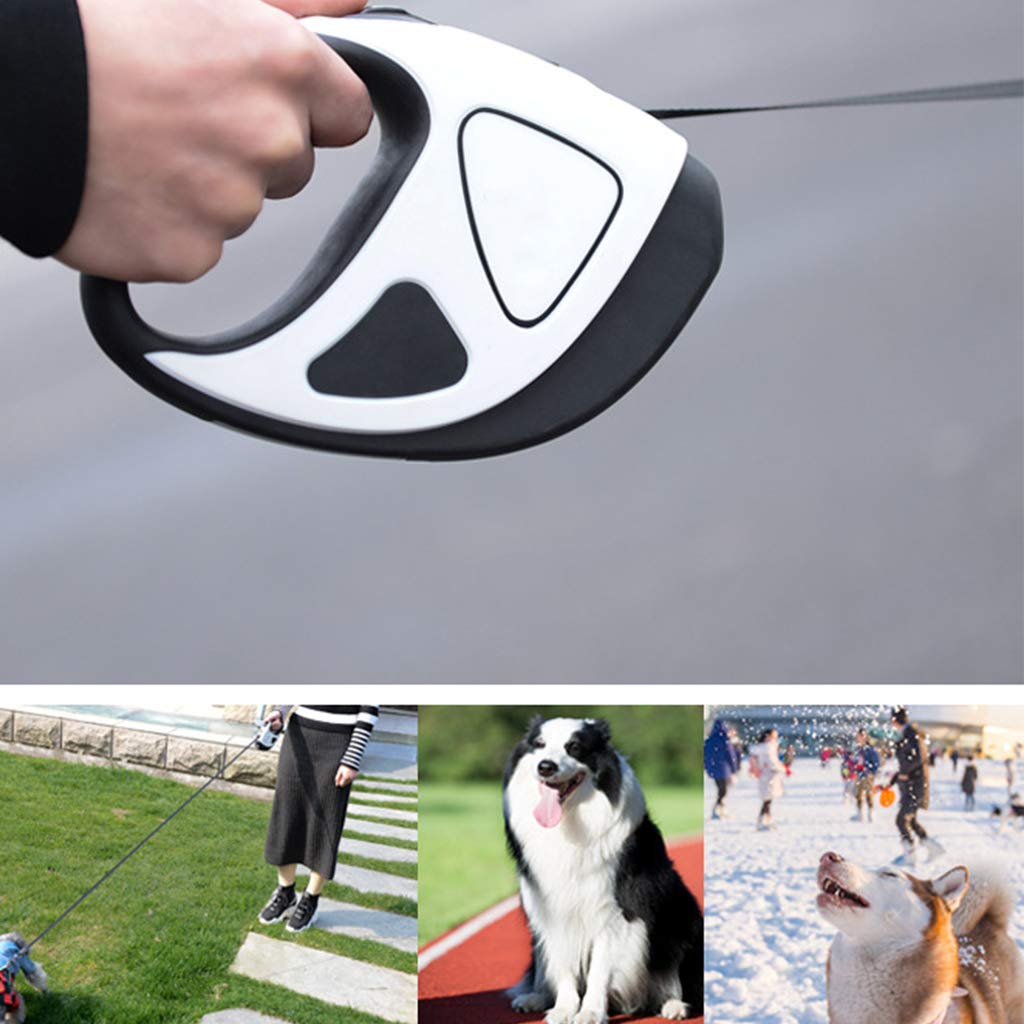 Laisse extensible verrouillable pour chiens de taille moyenne et grande avec lumière