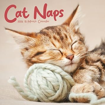 Carousel Calendars, Cat Naps 2026 Wall Calendar, 12 X 12, 16-Month Calendar with Stapled Binding