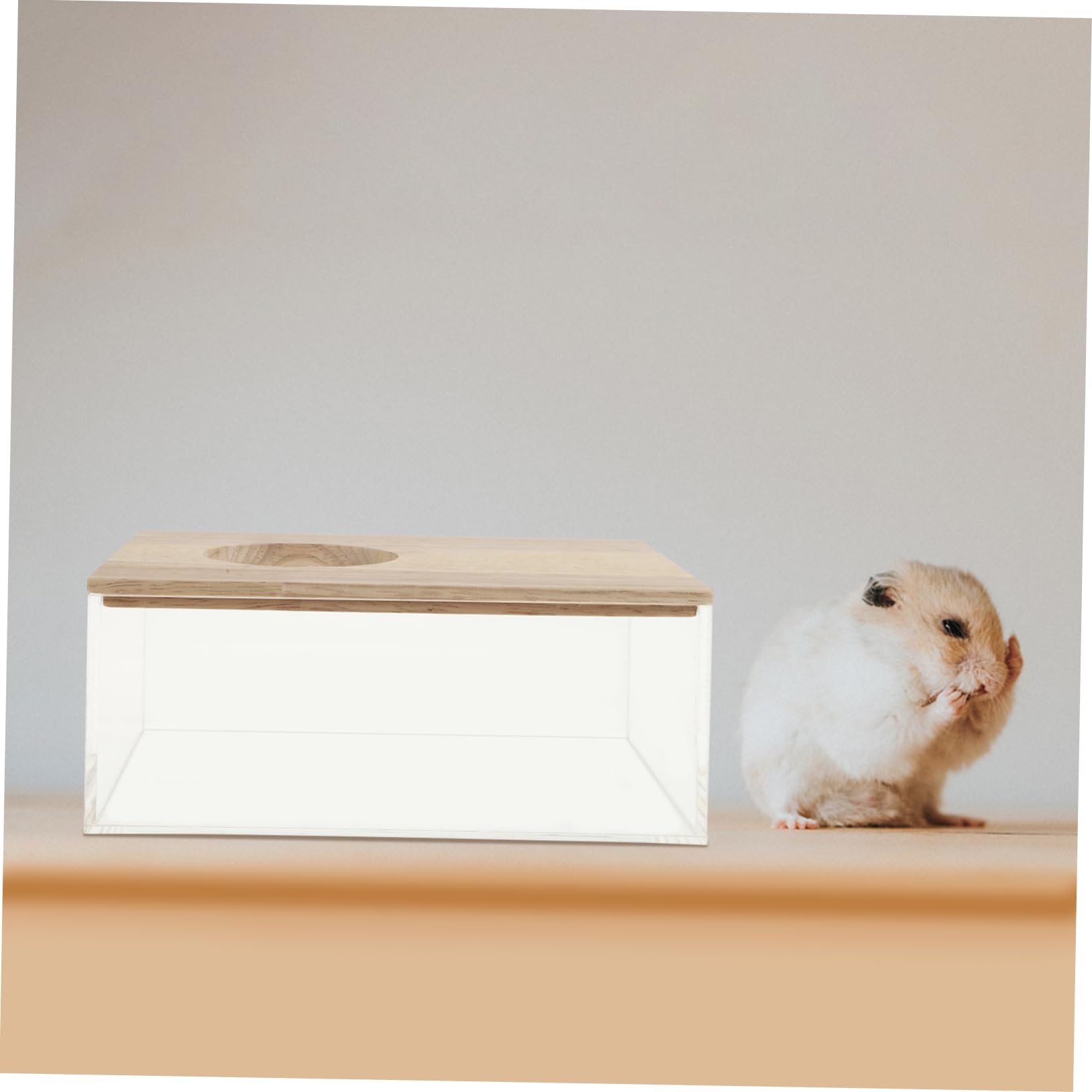 ERINGOGO Hamster Sandbad Transparente Sand-Bad Box Für Kleine Haustiere Für Chinchillas Und Hamster Leicht Zu Reinigen Lagern Vielseitig Einsetzbar