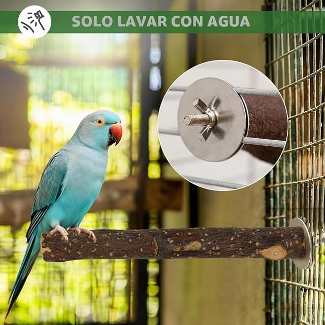 Foto 5 de 7 de 5 X Perchas Pajaros Perchas para Canarios Perchas Madera Agapornis Perchas Madera Natural Sin Tratar…