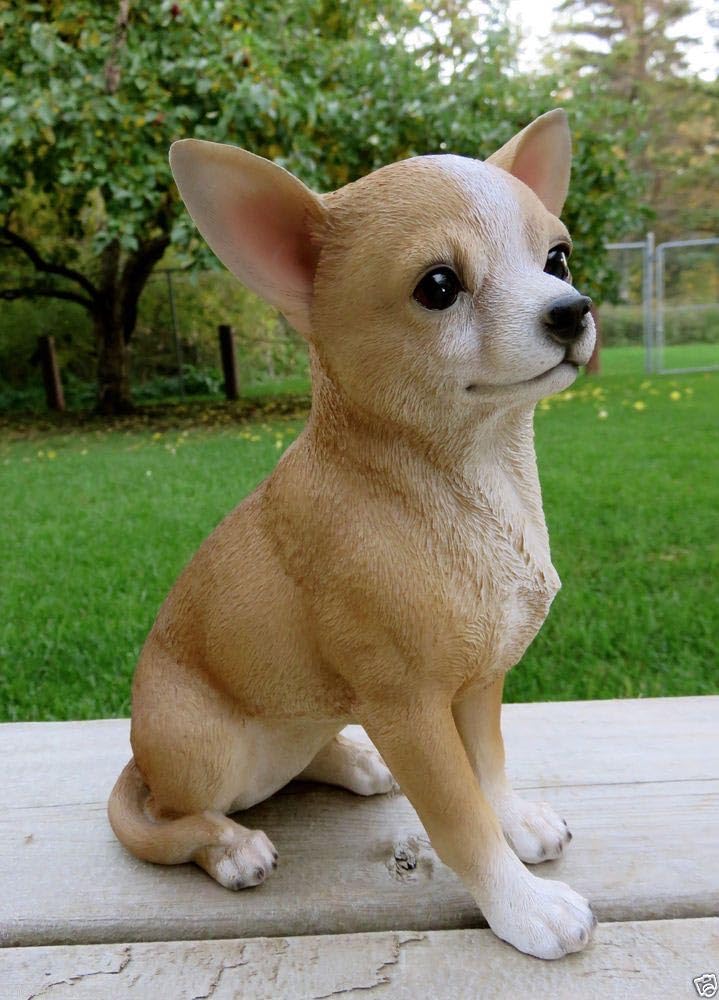 Vivid Arts Chihuahua Hund, Kunstharz Gartendeko