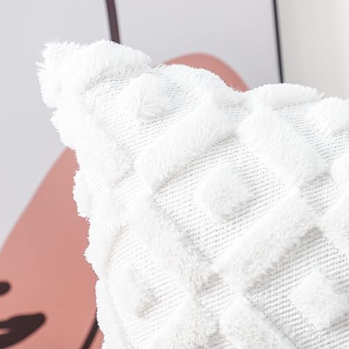 Miniatura 3 de MADIZZ - Juego de 2 fundas para cojín europeo con un afelpado de terciopelo y de lana corta y suave, de lujo, para sofá, dormitorio, cuadradas,