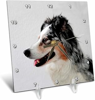 3dRose LLC Australian Shepherd Desk Clock, 6 by 6-Inch