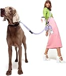 Mains sans chien laisse, 8.2ft Corde multifonctionnelle avec poignée amovible et mains d'entraînement réglables En laisse libre pour les chiens marchant (Purple)