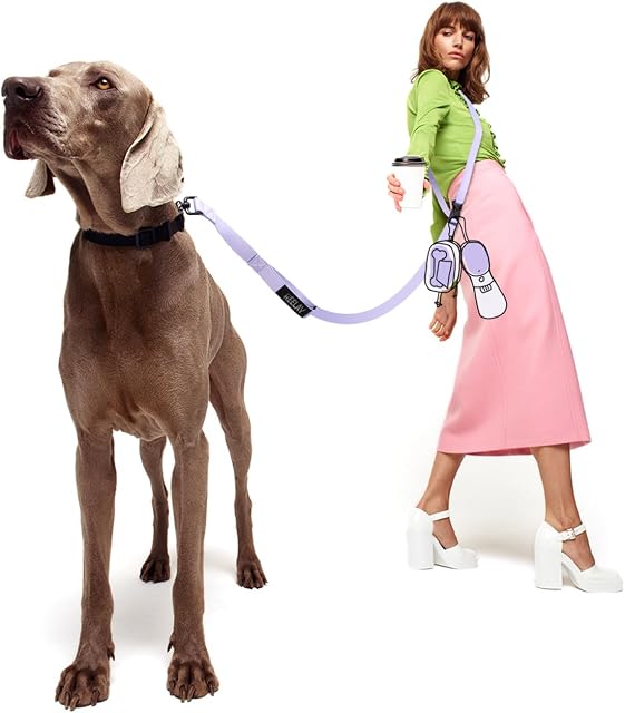 Mains sans chien laisse, 8.2ft Corde multifonctionnelle avec poignée amovible et mains d'entraînement réglables En laisse libre pour les chiens marchant (Purple)