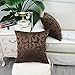 CaliTime Pack of 2 Throw Pillow Covers Cases for Couch Sofa Home Decoration Vintage Floral Two Tone Contrast Both Sides 18 X 18 Inches Coffee