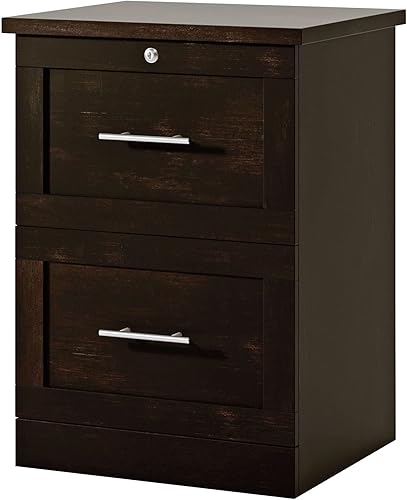 Realspace Archivador vertical de 2 cajones de 17 "D, negro con pimienta