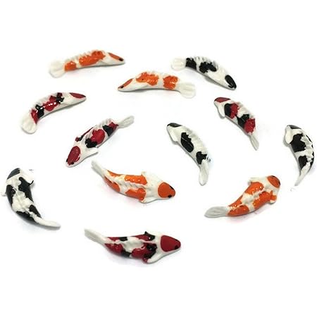 koi fish supplies