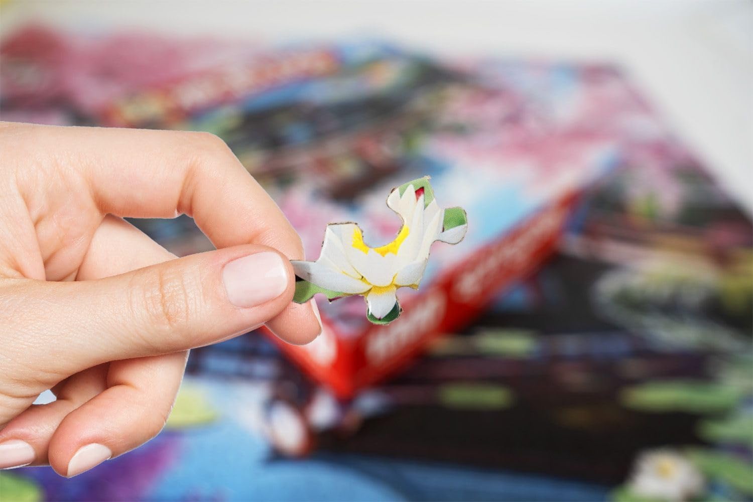 Springbok Haru in Japan 1000 Piece Jigsaw Puzzle for Adults - Cherry Blossom Garden - Unique Cut Pieces - Made in USA