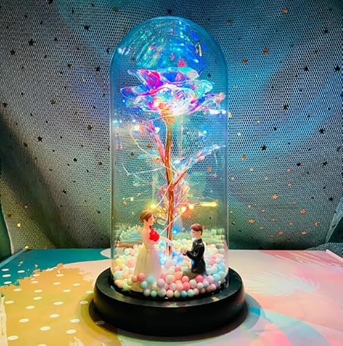 Demanca o  Lechin 24KS[h[Y ͂Ȃ bL[Y LEDCgtdr KN ԑ v[go^Cf[ ̓ a LO NX}X VN jɓKp ޏւ̑蕨v[gNX}Xv[