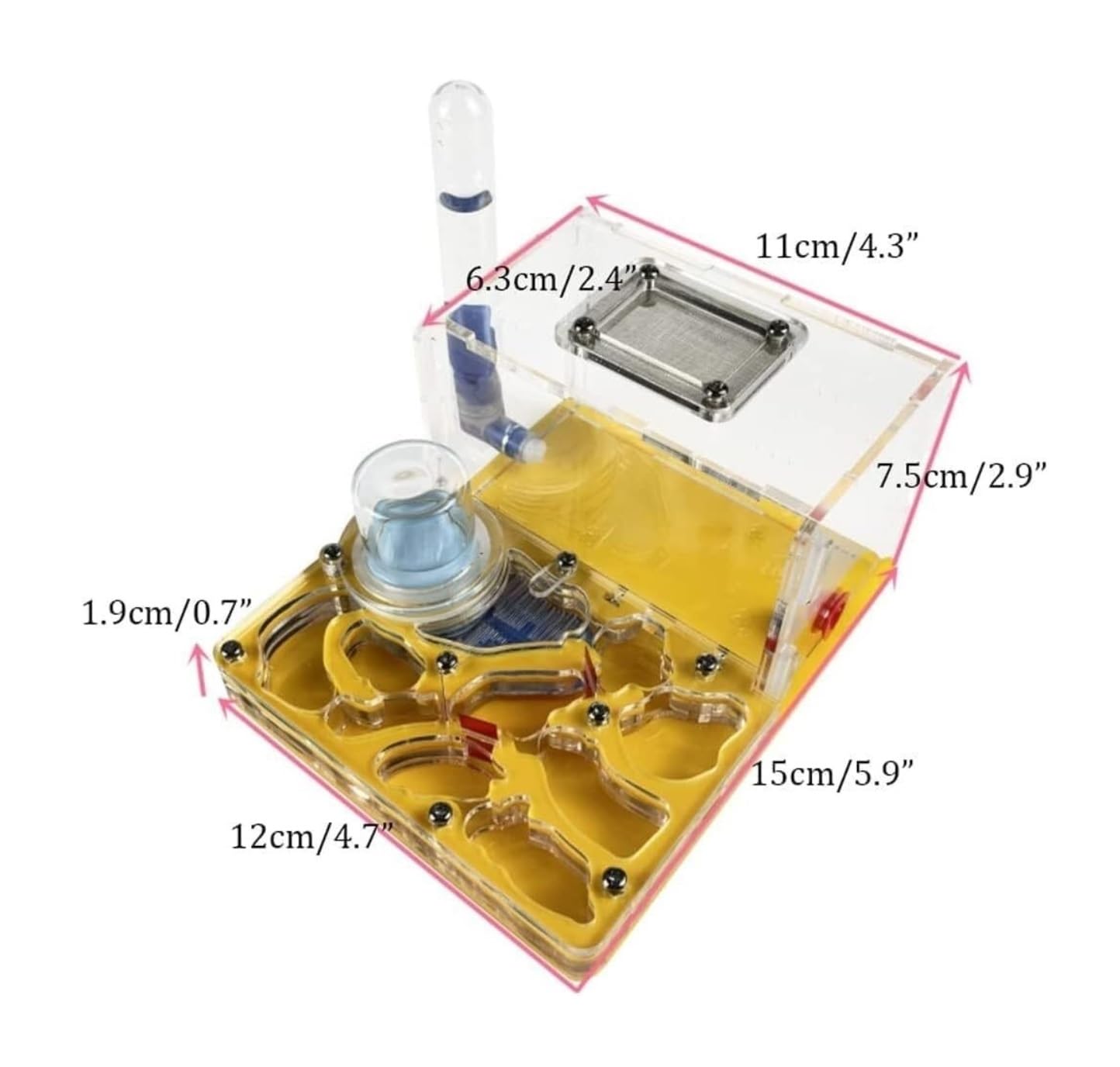 Formicaio Formicaio Acrilico Castello Allevamento Idratante Nido Osservazione Scientifica Fai-da-Te Fattoria Kit Scientifico Formiche Nido(Yellow)