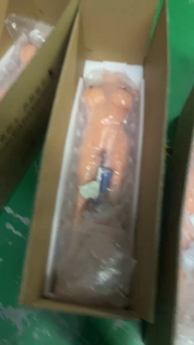 Adult Sex Doll Male Masturbator,Realistic Torso Sex Toy on Amazon Live