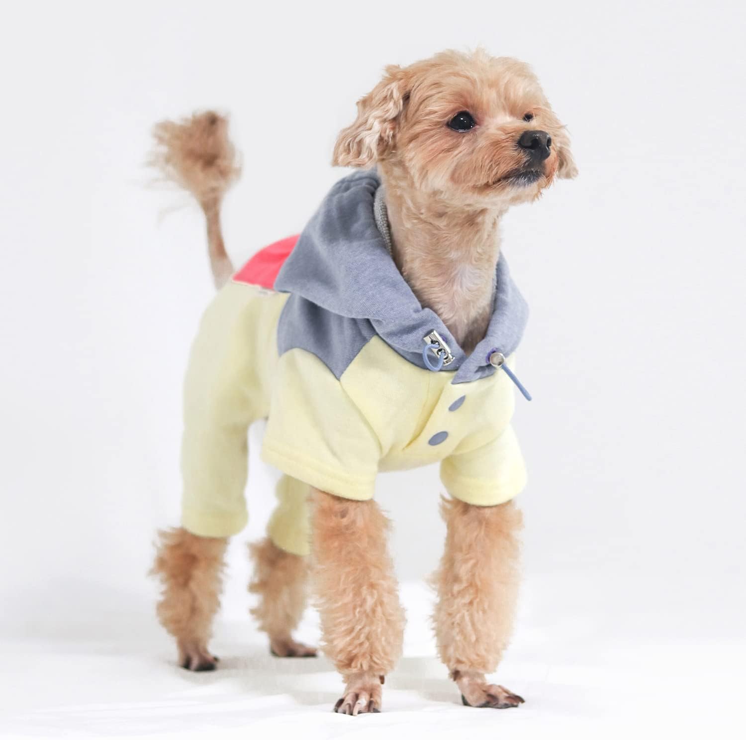 Unique Dog Lightweight Jumpsuit Clothes Lemon DXLarge, Soft and Stretchable Pullover Apparel, Hoody Design, Onesie with Pocket, Autumn Winter Outfits Pet Bodysuits for Small to Medium Dogs