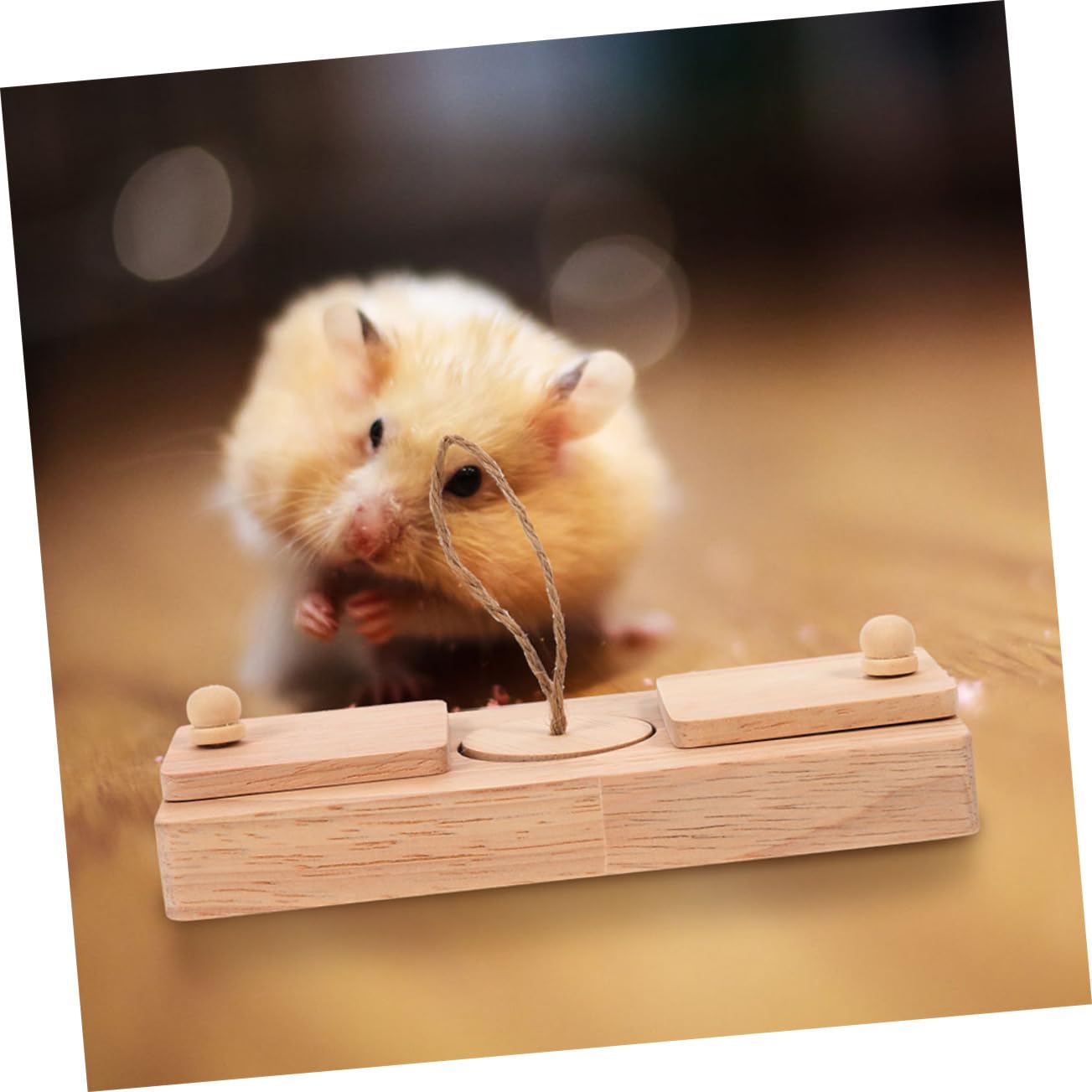 Giocattoli per Criceti in Legno Cibo Nascosto 2 Pezzi | Gabbia e Gioco, Adatti al Criceto, Accessorio da Disposizione, Set Compatto per Piccoli Roditori