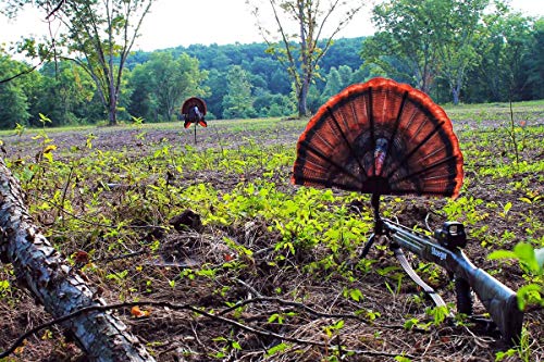 MOJO Outdoors Tail Chaser Max, Realistic Painted Turkey Portable Fan Hunting Decoy, Turkey Hunting Gear and Accessories Brown by MOJO Outdoors - Image 4
