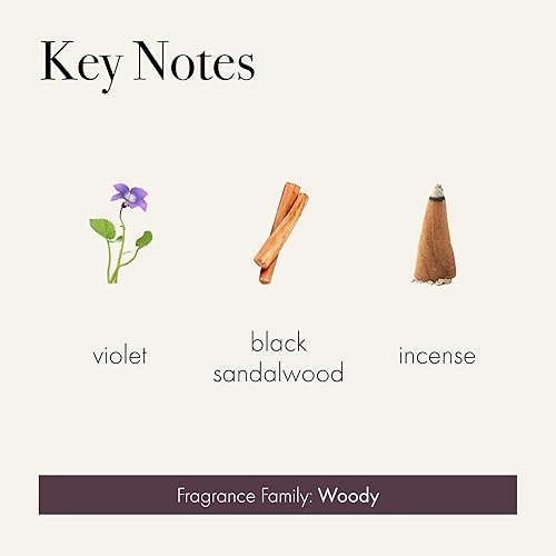 Miniatura 9 de LAFCO New York Difusor de varillas Signature Sea & Dune, 15 onzas, hasta 9 meses de vida de fragancia, reutilizable, recipiente de vidrio soplado a